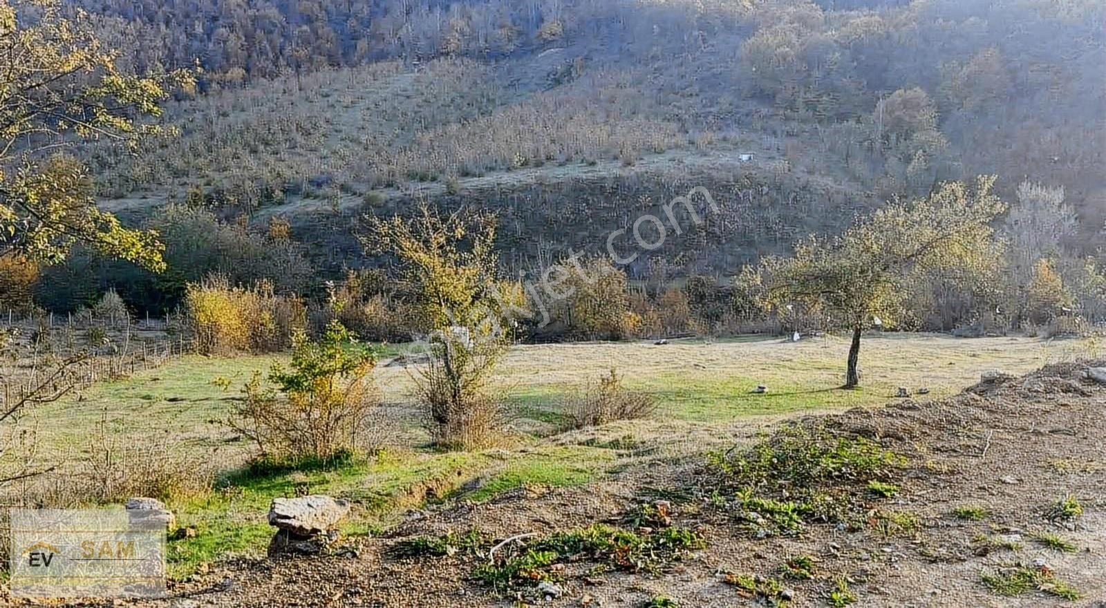 Yola Cephe Değerli Konumda 916 M² Yatırım Tası