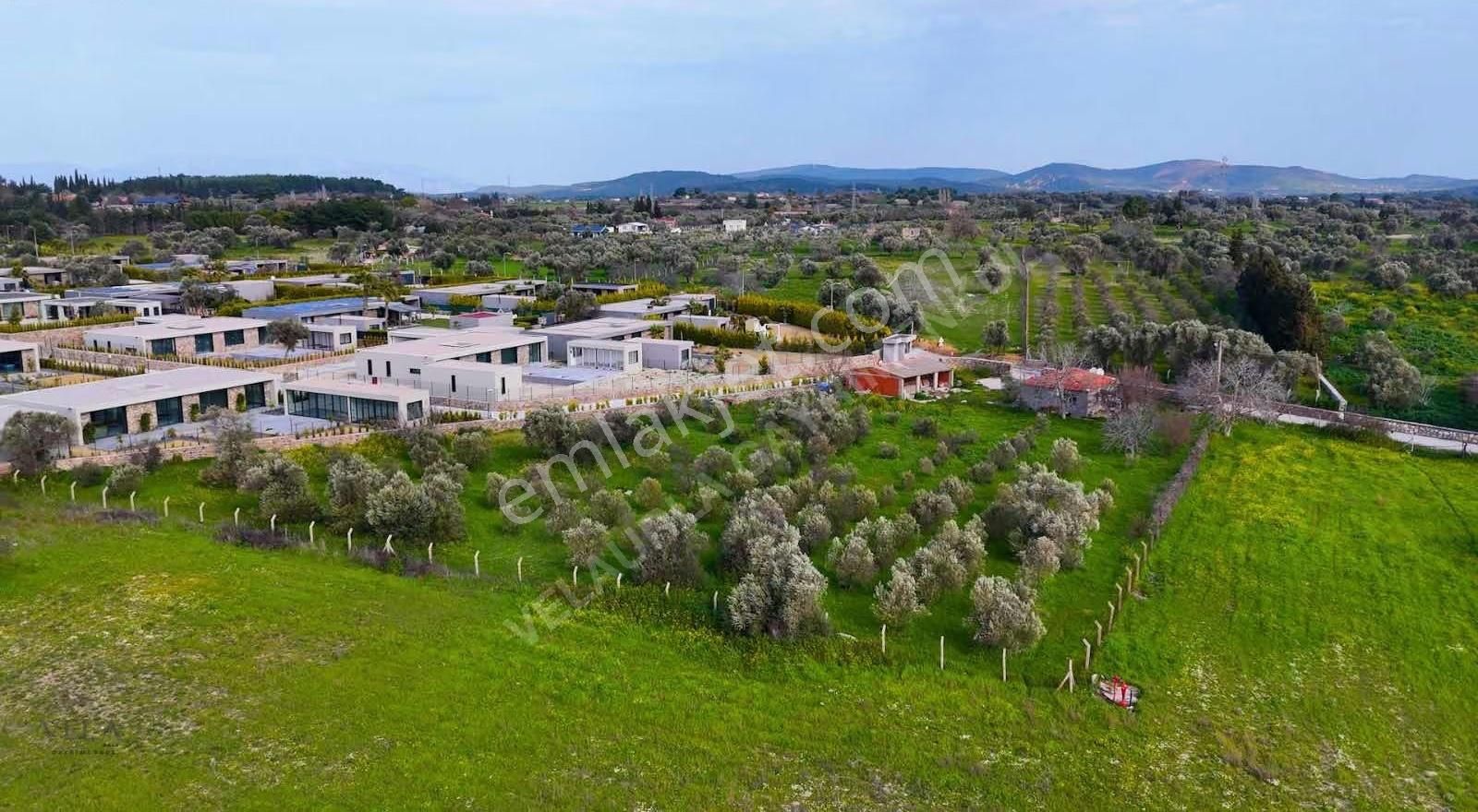 Urla İçmeler Satılık Tarla Ve Müstakil Ev - Görsel 5