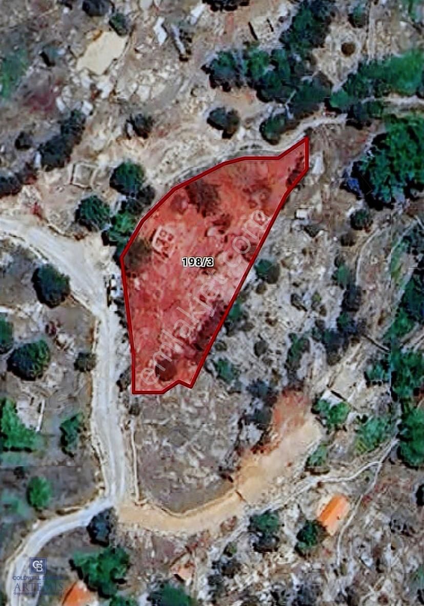 Ketenderede 1.110 M² Tarla + Kargir Ev - Görsel 2