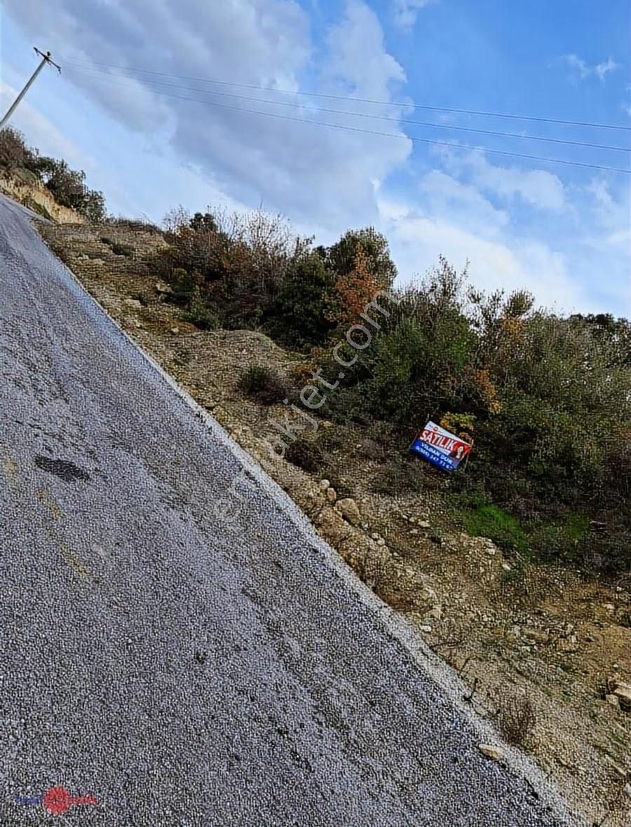 Yakakent Mevkiinde Fırsat Fiyatlı Satılık Zeytinli Tarla - Görsel 5