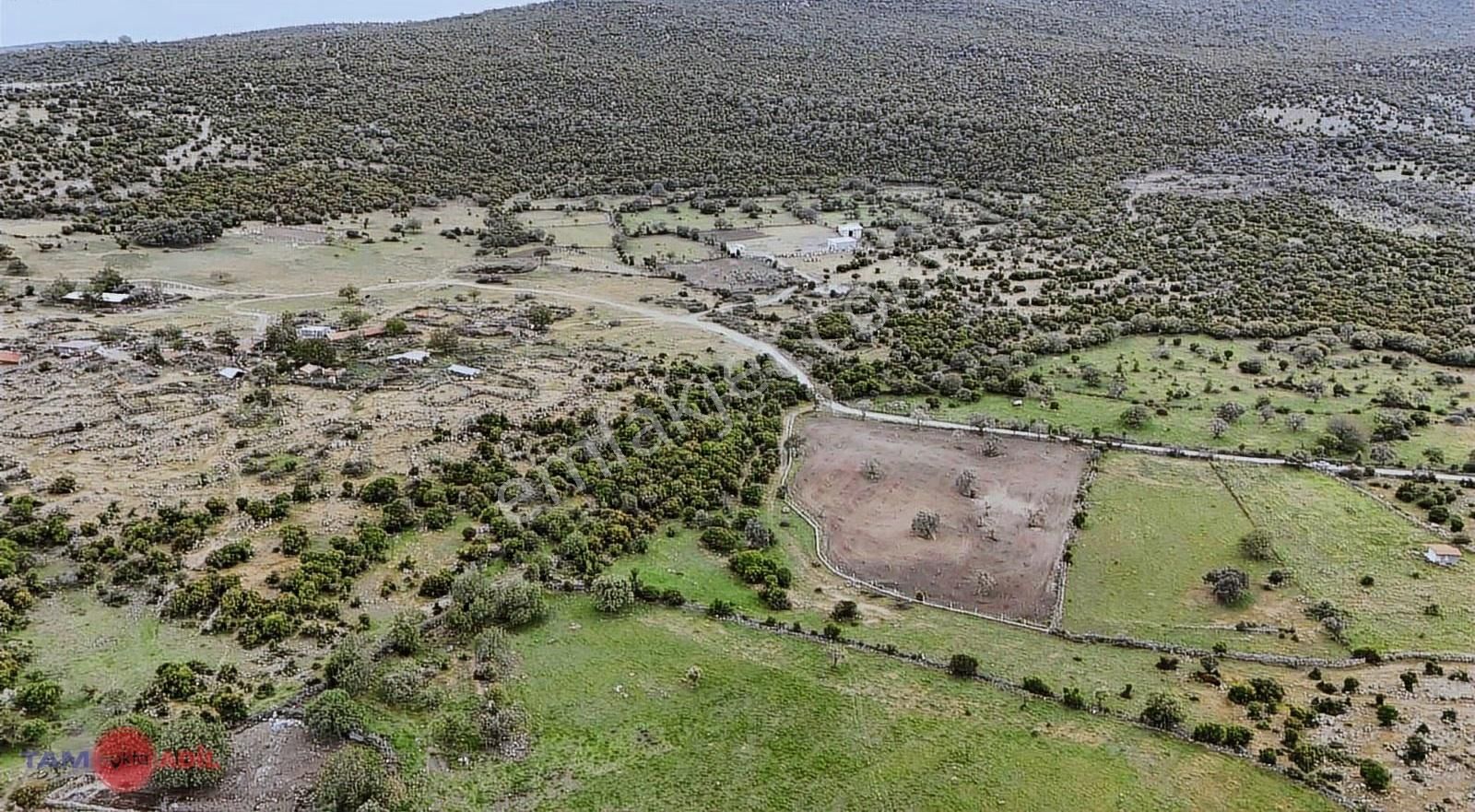 Dikili Demirtaşta Satılık Geniş Metrajlı Tarla