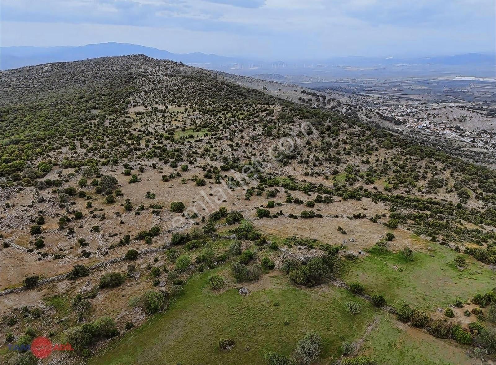 Dikili Demirtaşta Satılık Geniş Metrajlı Tarla - Görsel 2