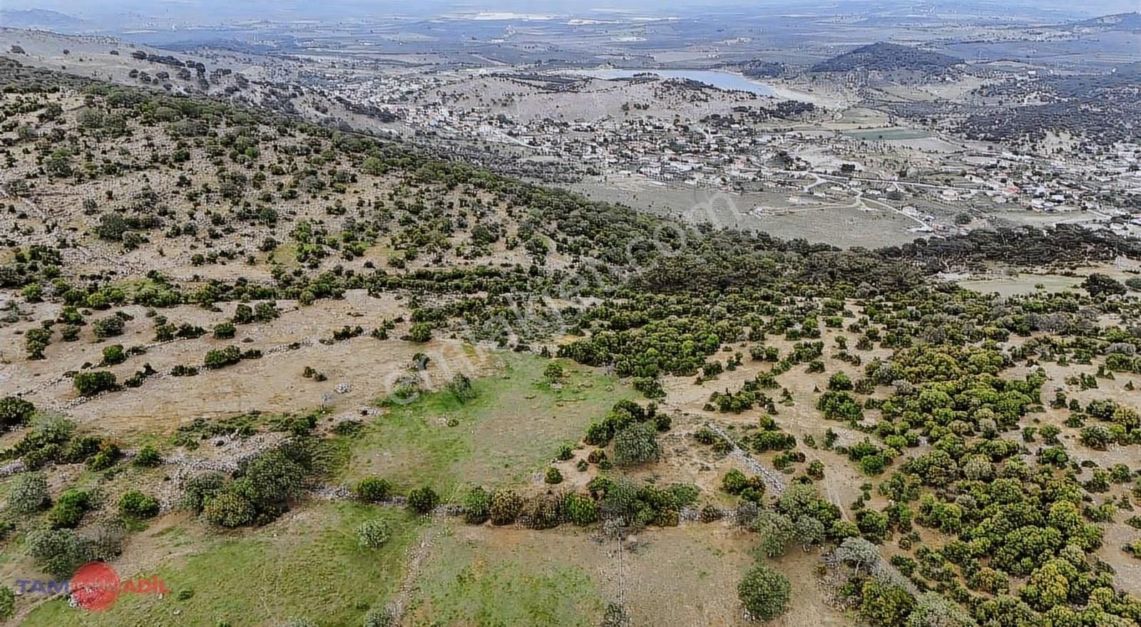 Dikili Demirtaşta Satılık Geniş Metrajlı Tarla - Görsel 6