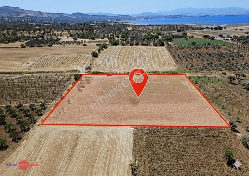 Satılık Fırsat Tarla Çandarlı Liman Bölgesi Kazıkbağlar Mevkii