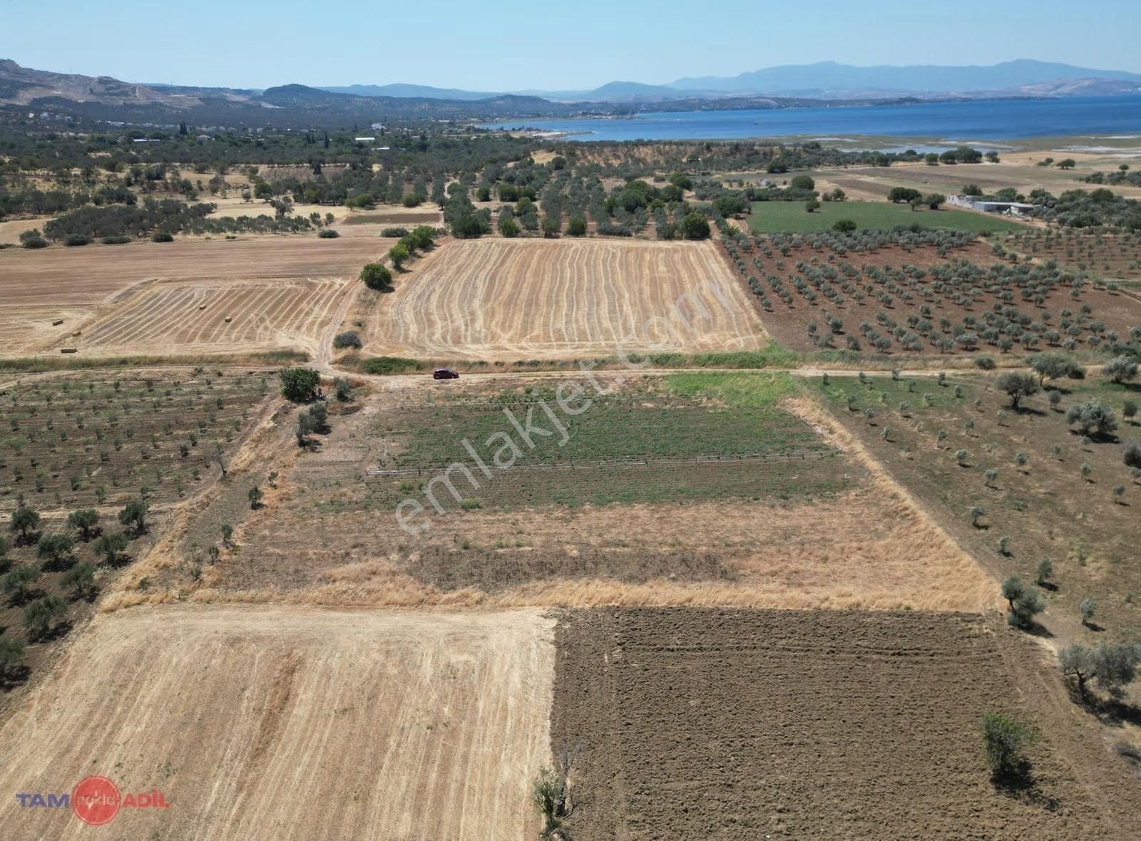 Satılık Fırsat Tarla Çandarlı Liman Bölgesi Kazıkbağlar Mevkii - Görsel 3