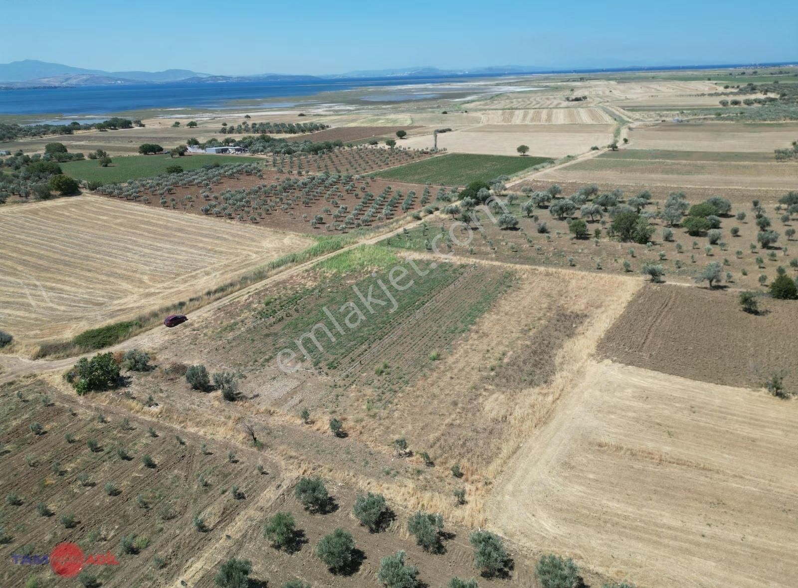 Satılık Fırsat Tarla Çandarlı Liman Bölgesi Kazıkbağlar Mevkii - Görsel 5