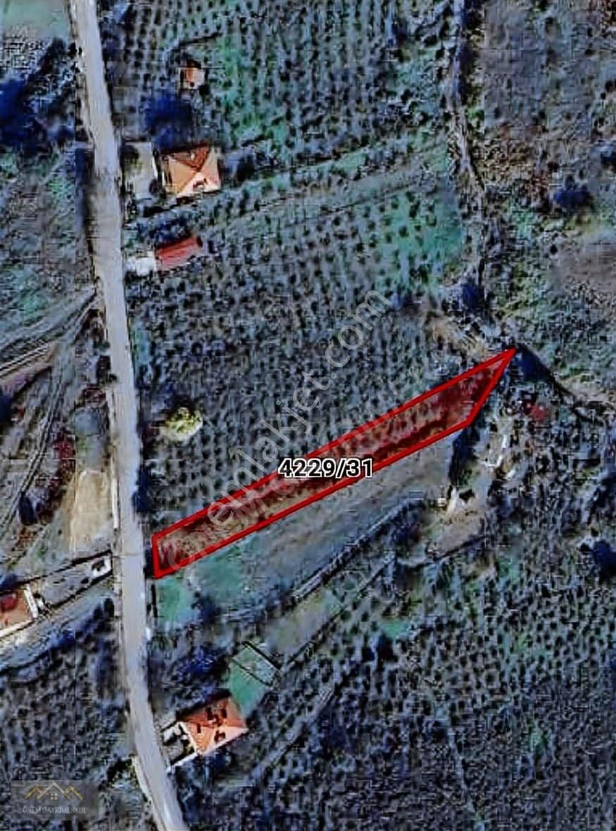 Önem Gayrimenkul'den Satılık Yatırımlık Tarla - Görsel 2