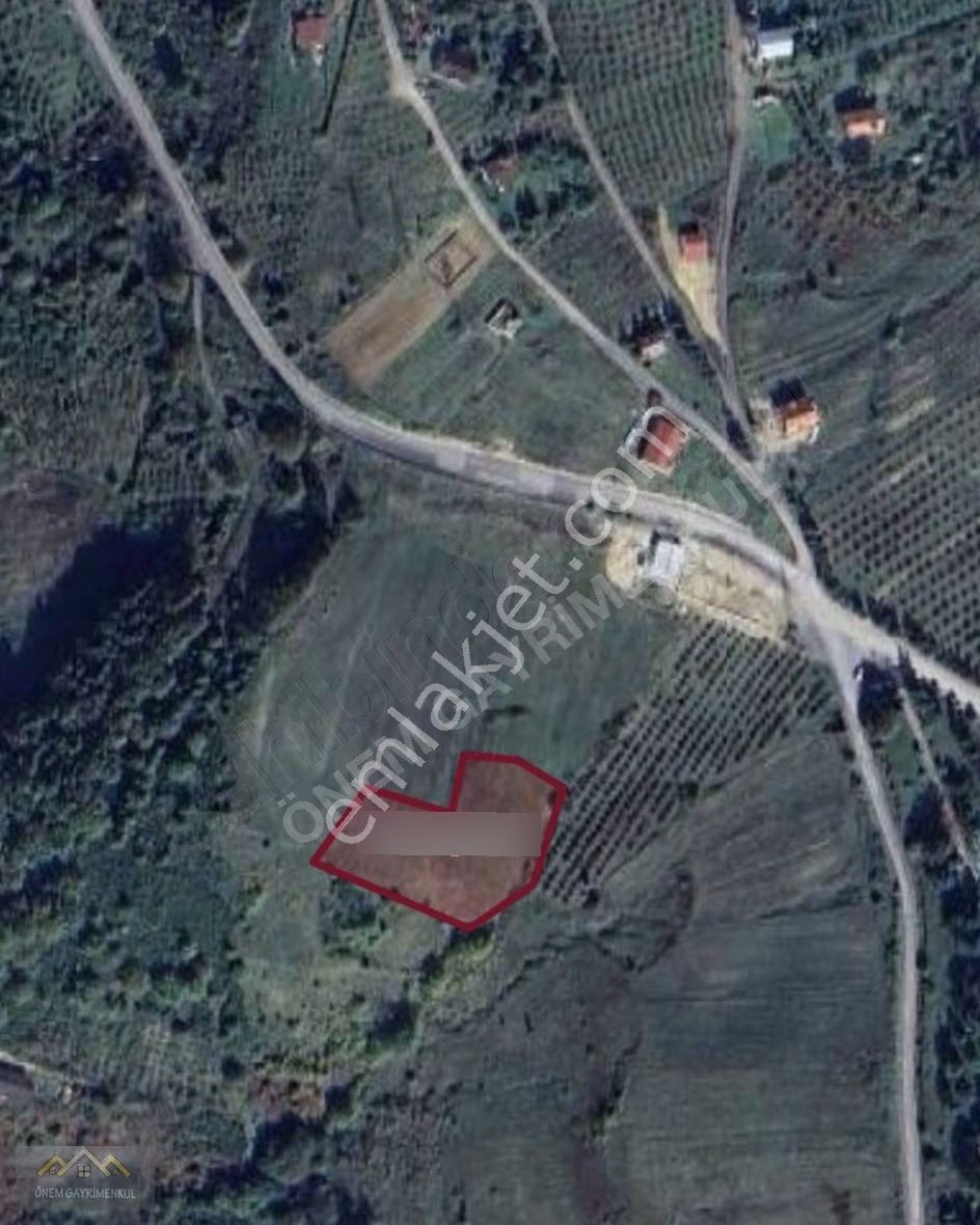 Önem'den Şile Ağva'da Yatırımlık Arsa