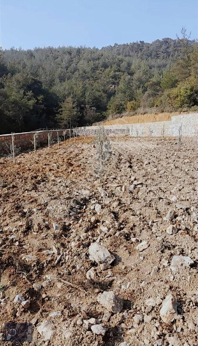 Doğanın Kalbinde, Altyapısı Hazır "huzur Yatırımı" - Görsel 3