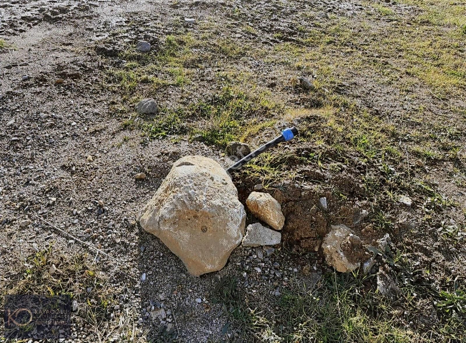 İzmirin Kemalpaşa Yukarıkızılca Da Yaşama Hazır: 660 M² - Görsel 3
