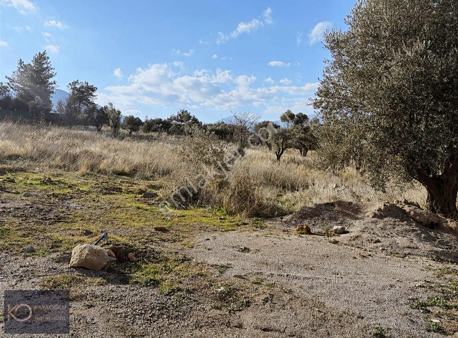 İzmirin Kemalpaşa Yukarıkızılca Da Yaşama Hazır: 660 M² - Görsel 4