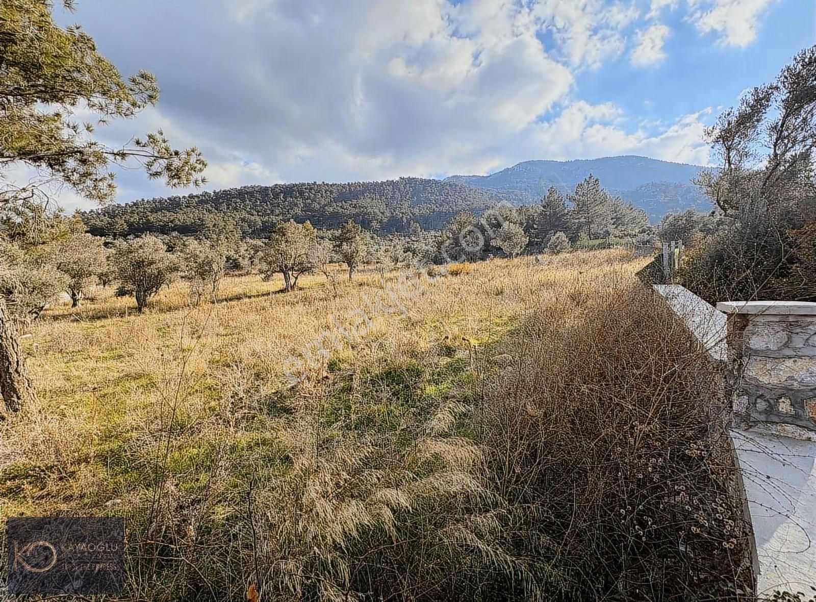 İzmirin Kemalpaşa Yukarıkızılca Da Yaşama Hazır: 660 M²