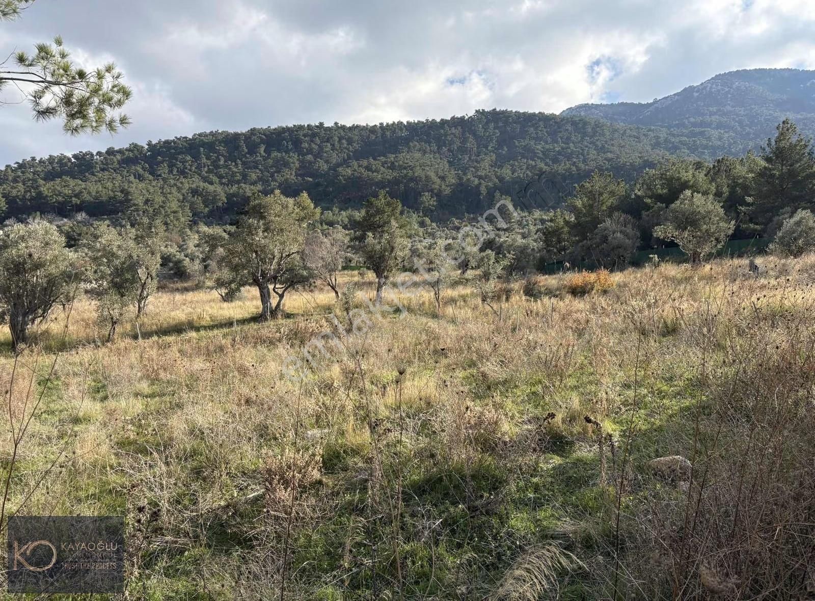 İzmirin Kemalpaşa Yukarıkızılca Da Yaşama Hazır: 660 M² - Görsel 2