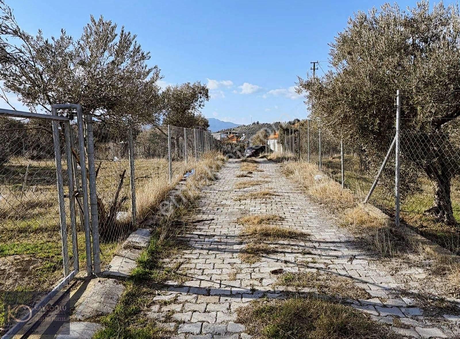 Kemalpaşa Aşağıkızılca Köy Merkezinde - Görsel 8