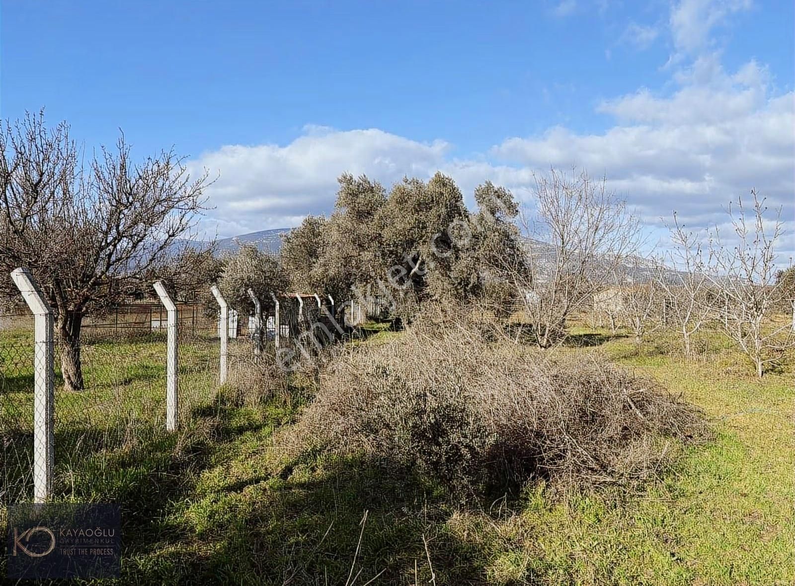 Aşağı Kızılca'da Müstakil Yolu Olan Tarla - Görsel 22