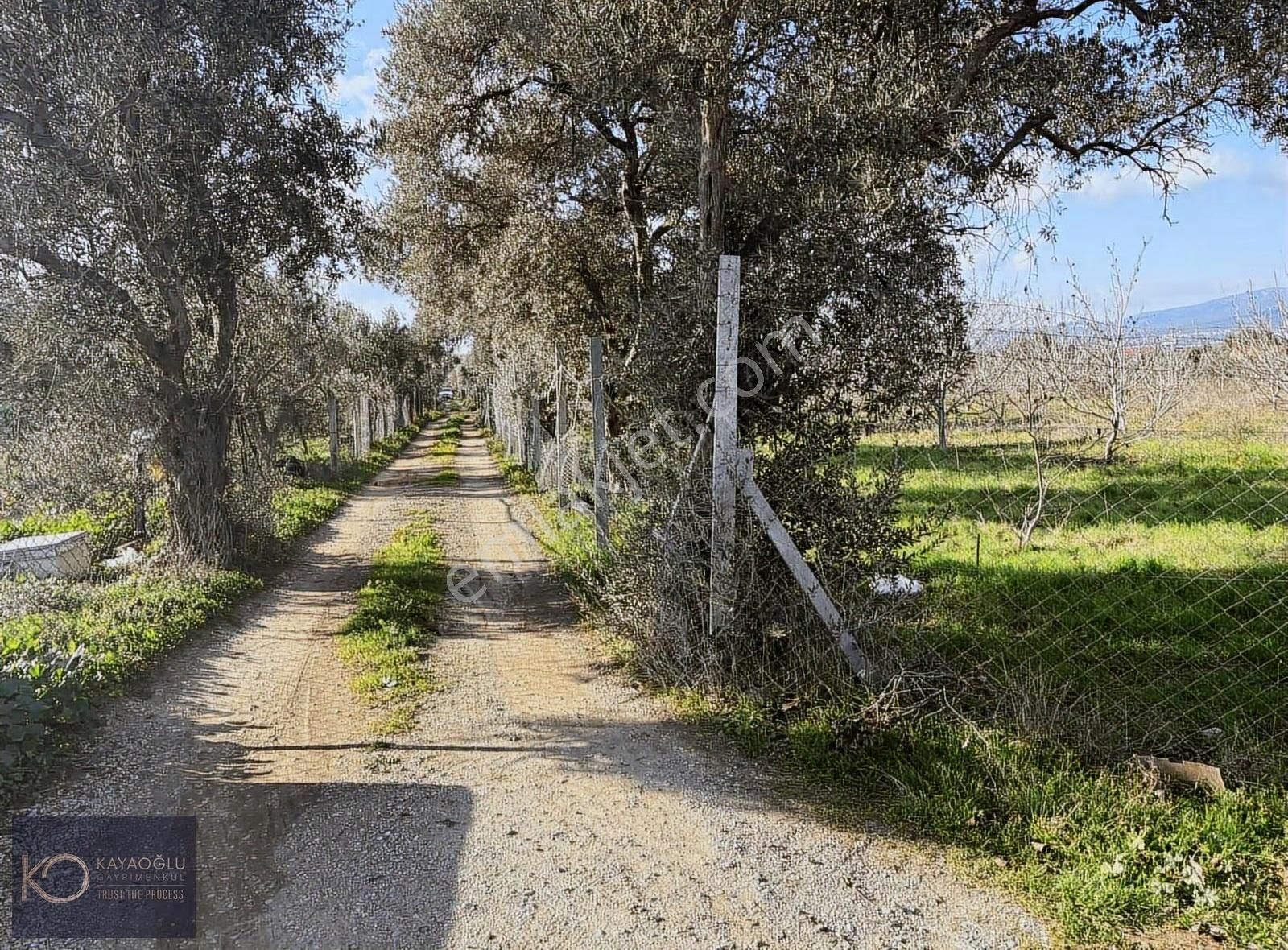 Aşağı Kızılca'da Müstakil Yolu Olan Tarla - Görsel 3