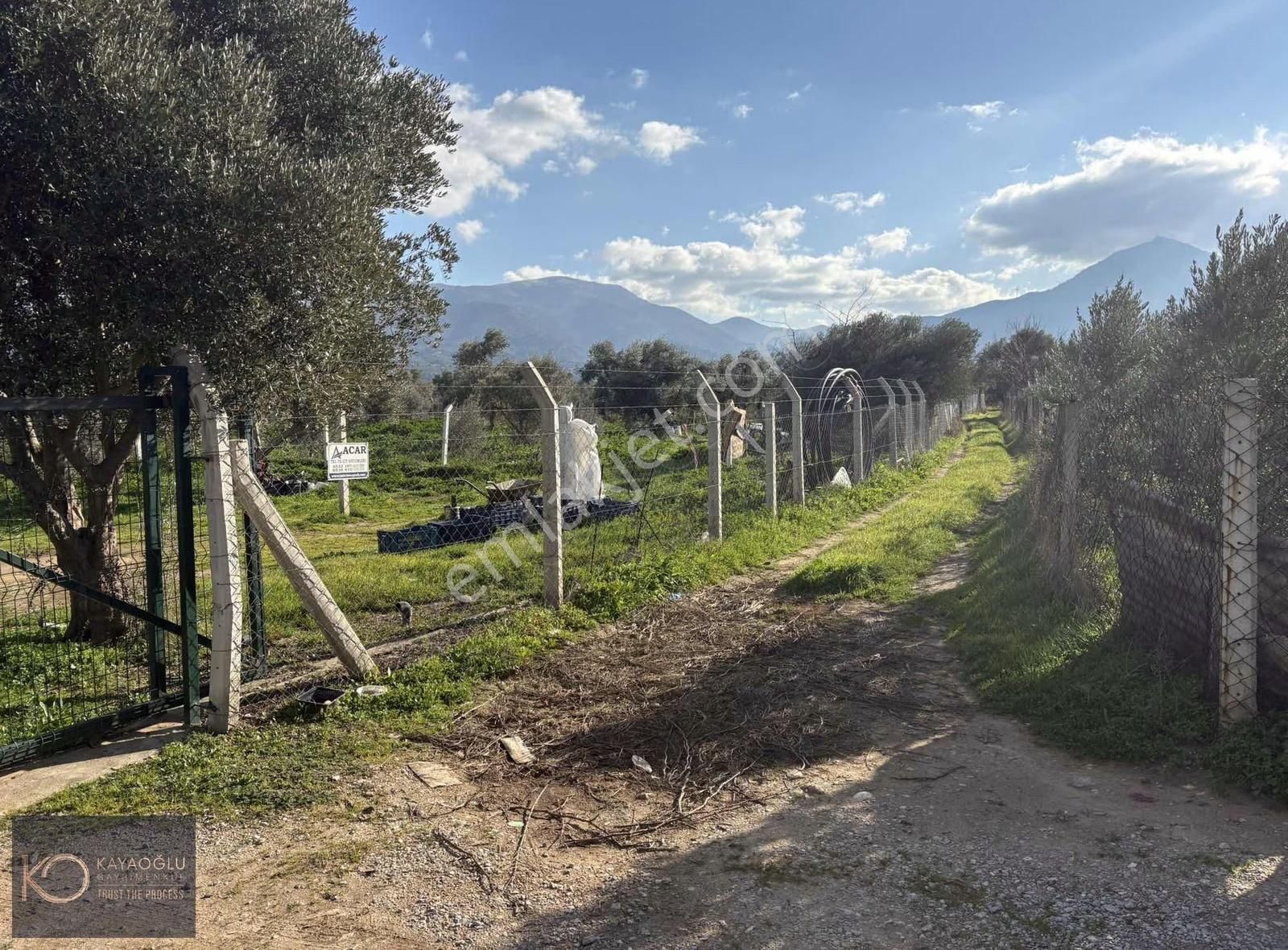 Aşağı Kızılca'da Müstakil Yolu Olan Tarla - Görsel 4