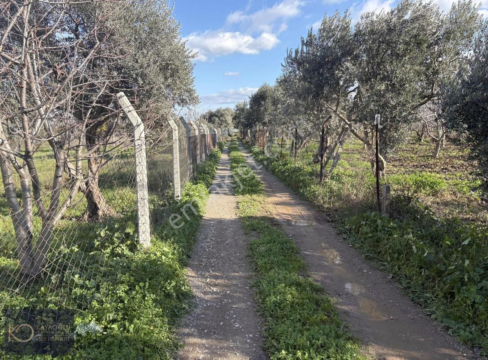 Aşağı Kızılca'da Müstakil Yolu Olan Tarla - Görsel 12