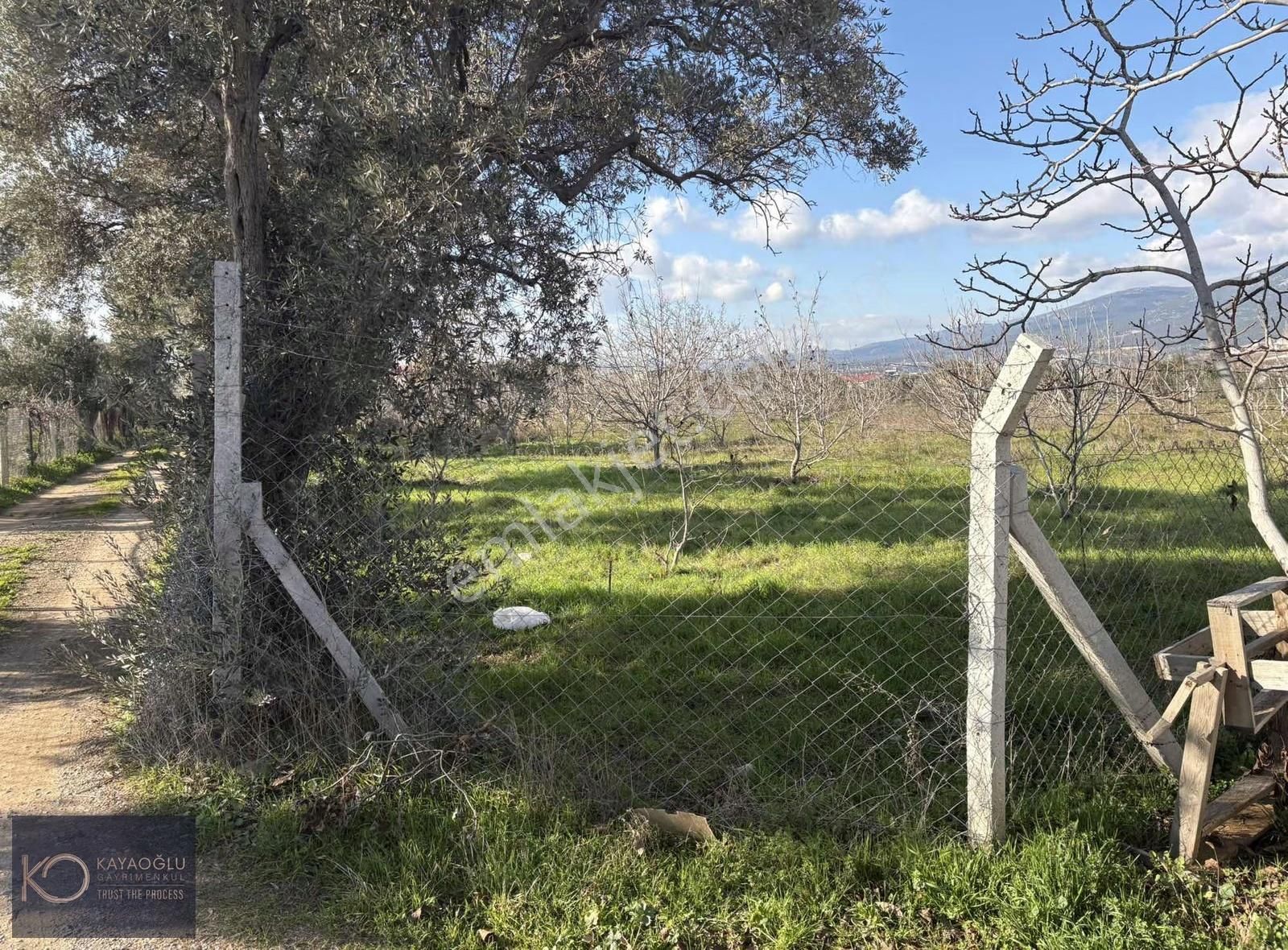 Aşağı Kızılca'da Müstakil Yolu Olan Tarla - Görsel 13
