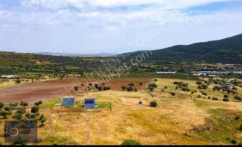 Eski Foça'da Haftasonu Keyifli Vakit Geçireceğiniz Hobi Bahçesi - Görsel 2