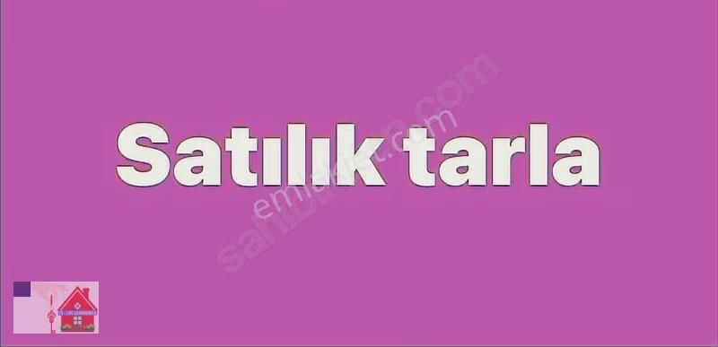 Sarayköy Ahmetli Mahallesi Satılık Tarla