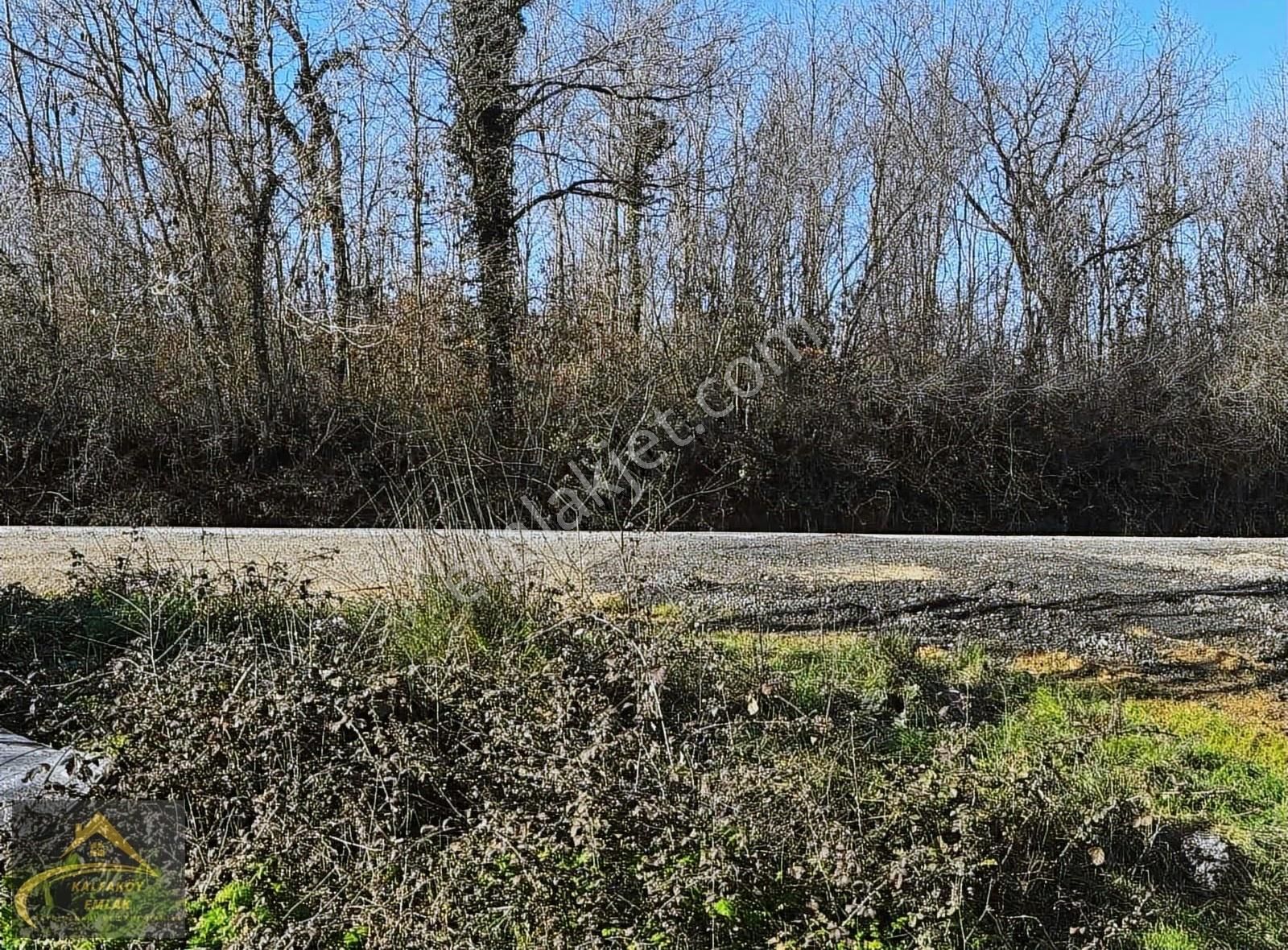 Çatalca Kalfa Mah 2 Adet 534 M2 - Görsel 2