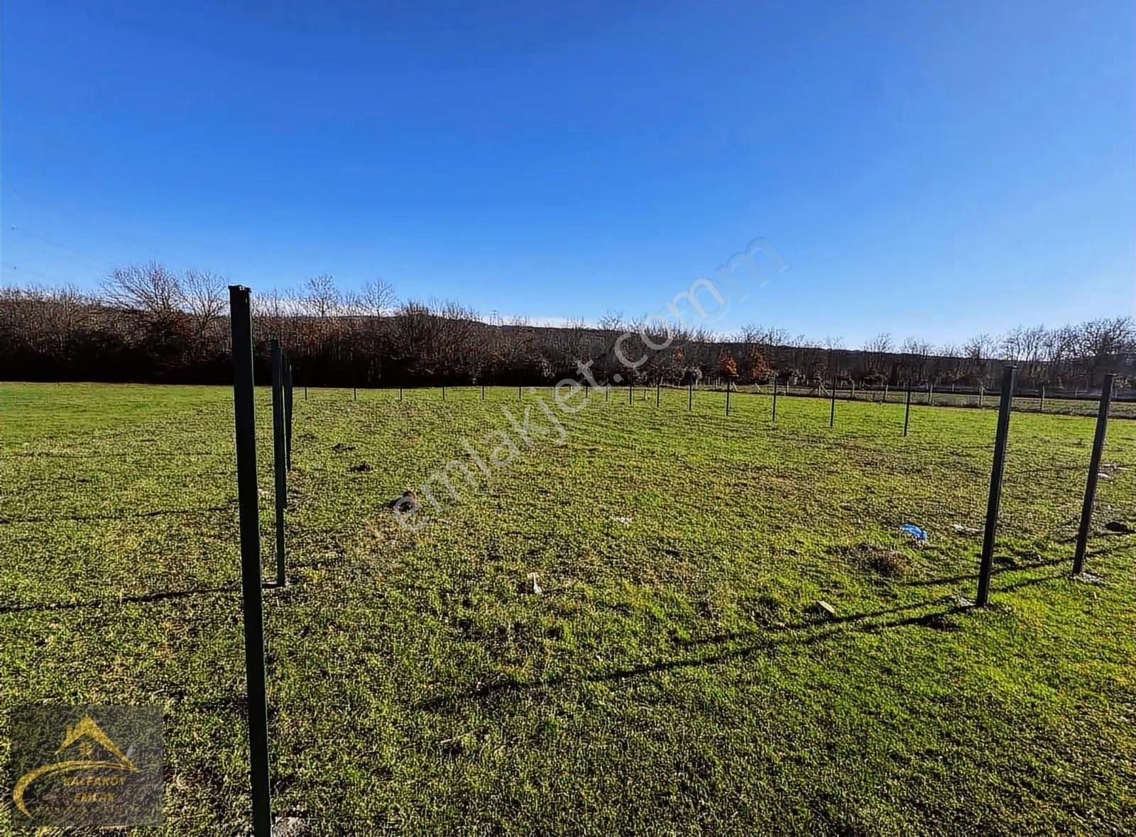 Çatalca Kalfa Mah 2 Adet 534 M2