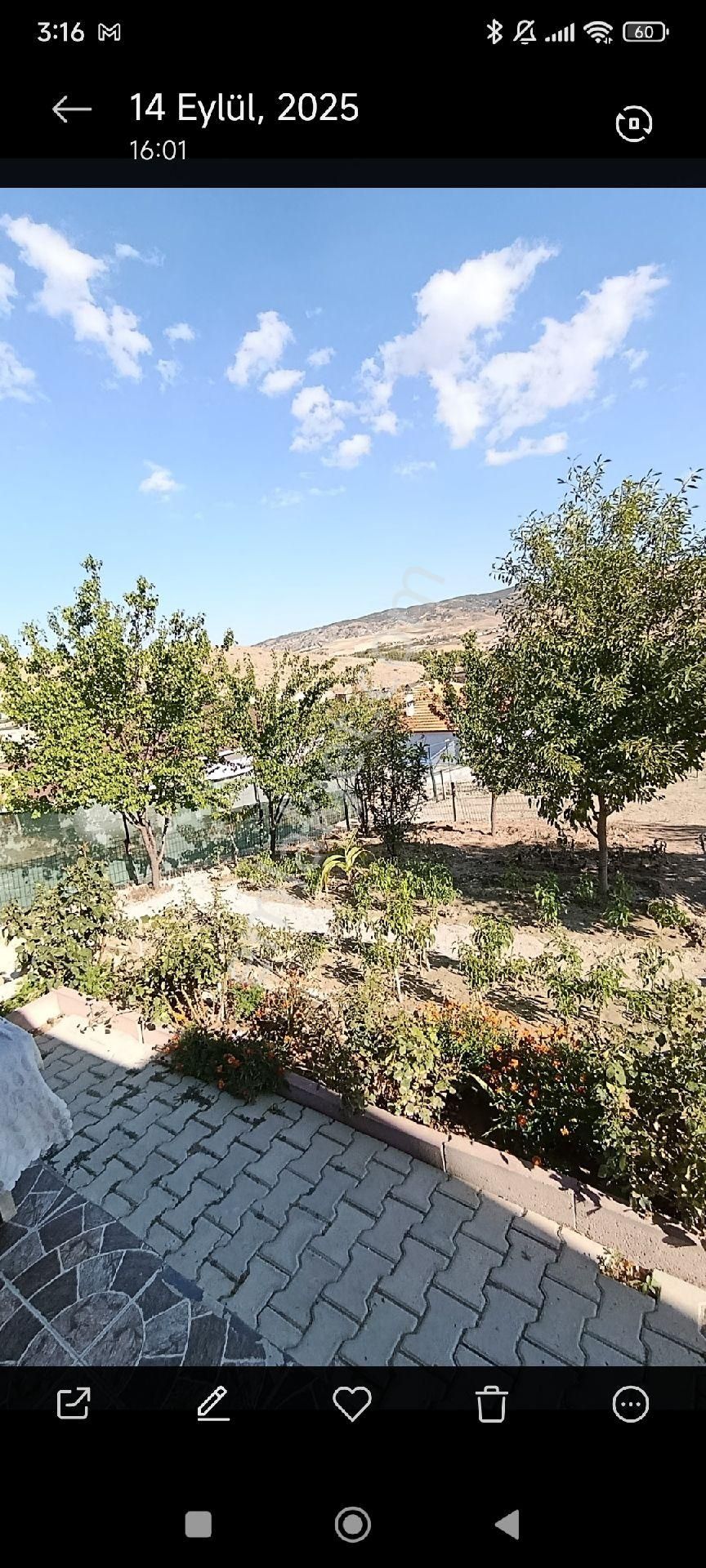 Beynam Hobi Bahçesi - Görsel 9