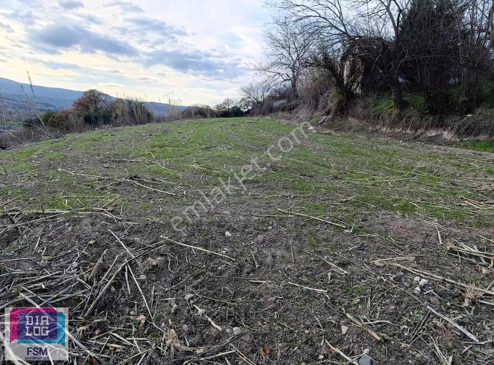 Mustafakemalpaşa Hisaraltı Mah - Görsel 8