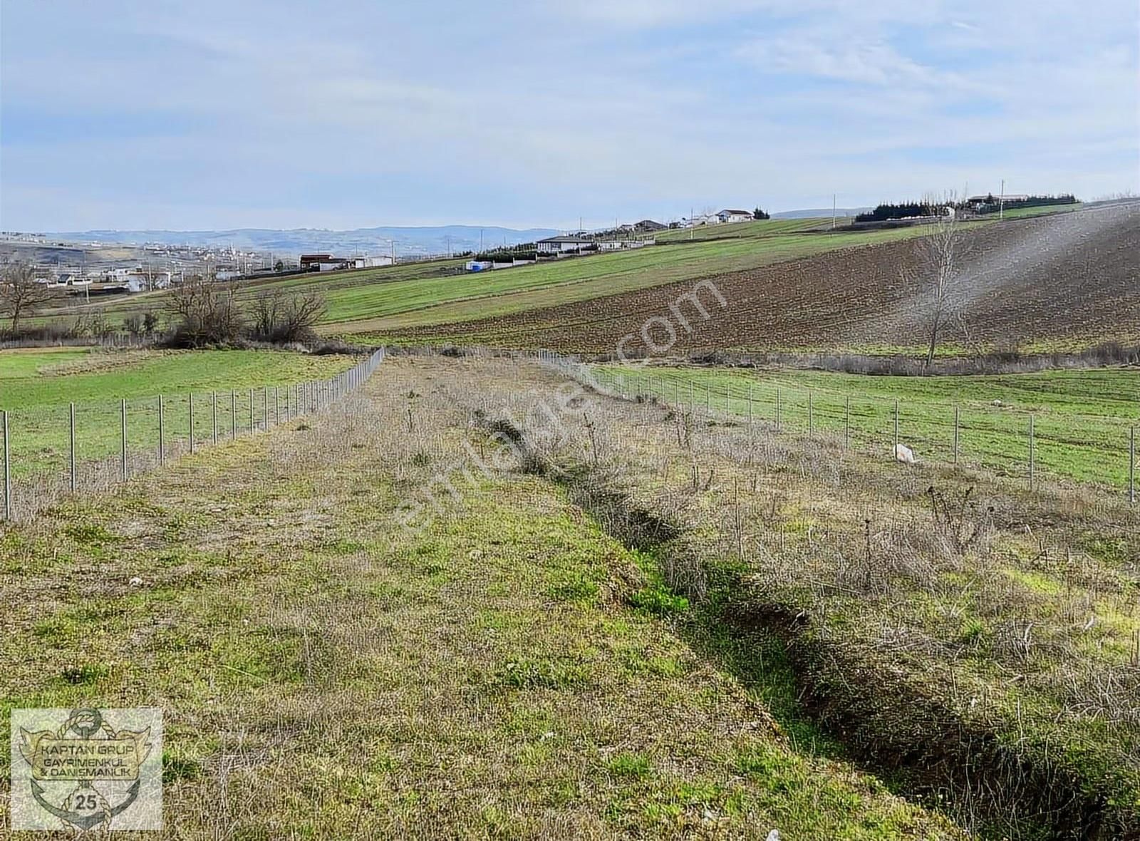 Körfez Cuma Köy Satılık Arazi 2.250 Mk