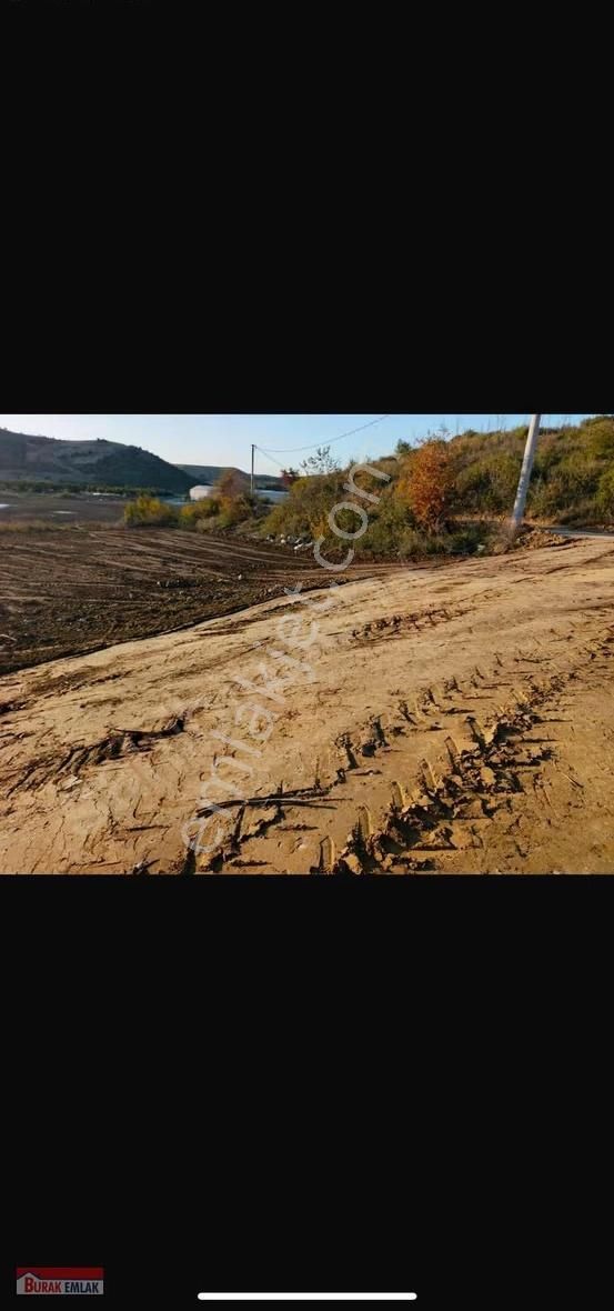 Manavgat Bucak Şeyhler Bölgesinde Satılık Tarla - Görsel 3