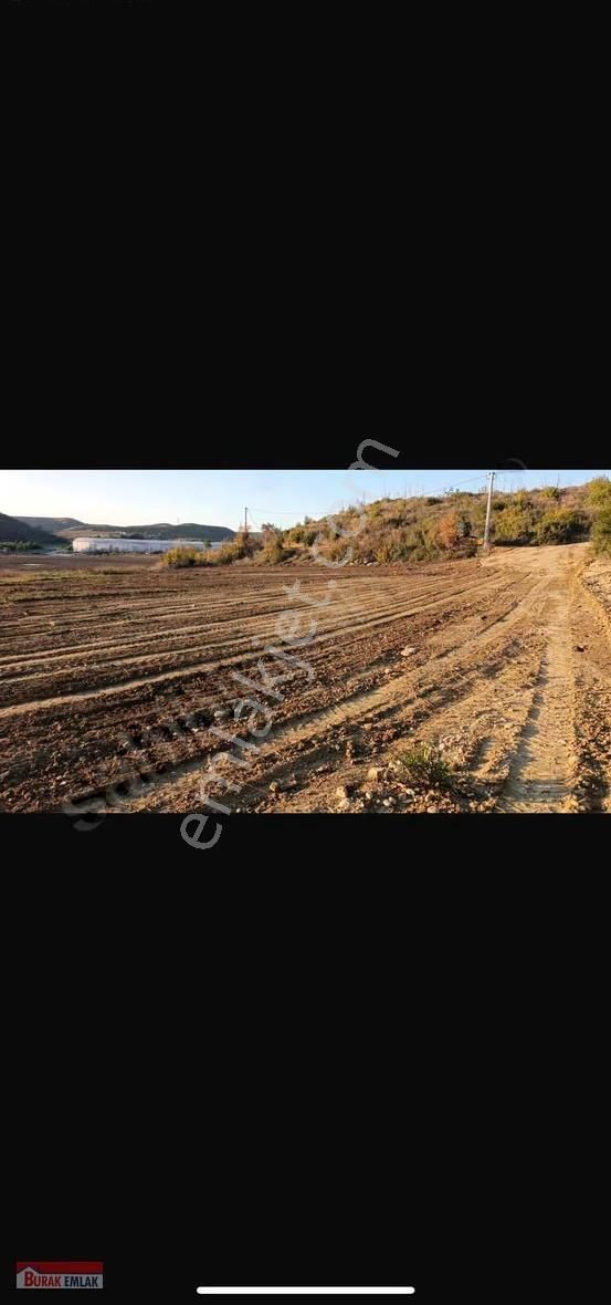 Manavgat Bucak Şeyhler Bölgesinde Satılık Tarla