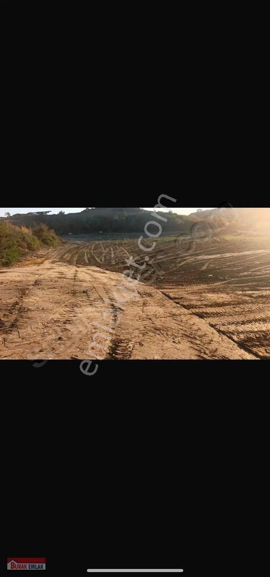 Manavgat Bucak Şeyhler Bölgesinde Satılık Tarla - Görsel 2