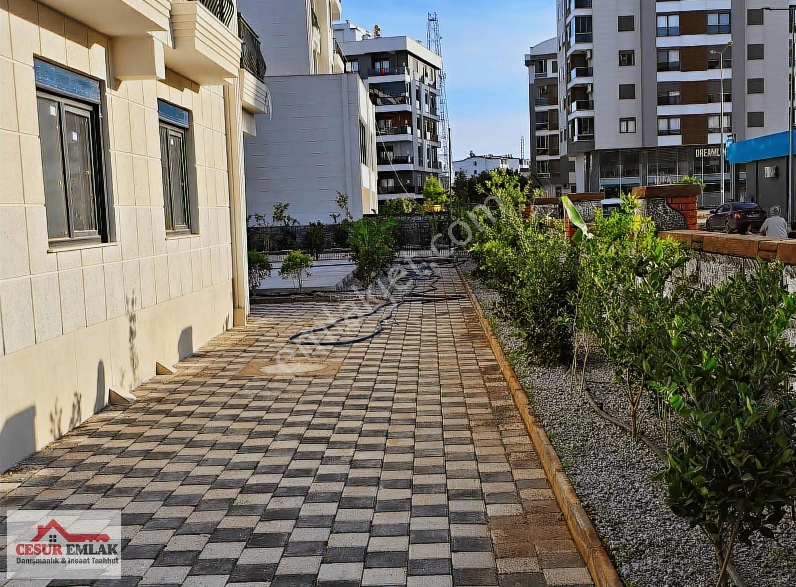 Cesurdan Satılık Daire Acilll Fiyat Düştü - Görsel 12