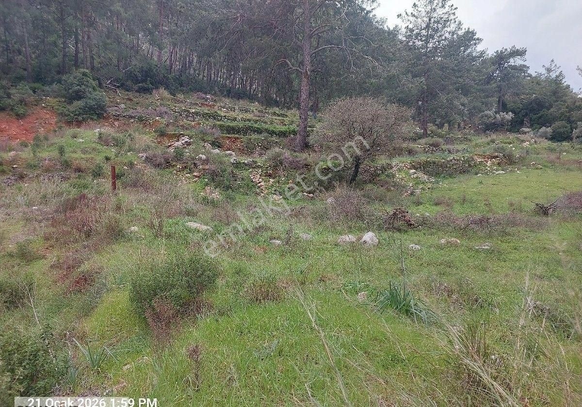 Orhaniye Güneş Emlaktan Satılık Tarla - Görsel 4