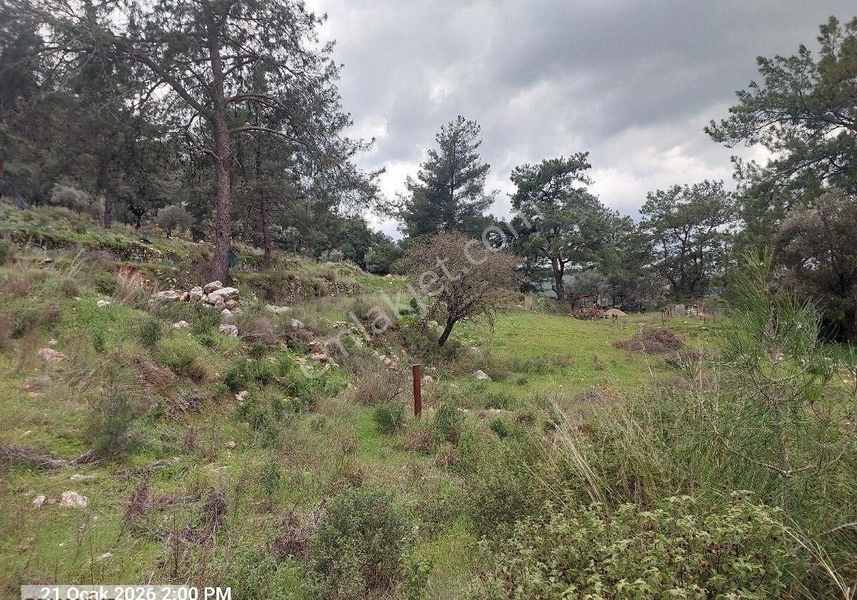 Orhaniye Güneş Emlaktan Satılık Tarla - Görsel 5