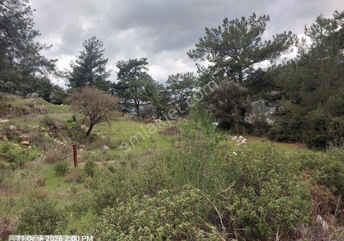 Orhaniye Güneş Emlaktan Satılık Tarla - Görsel 2