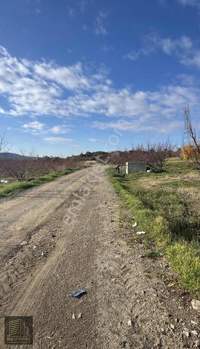 Gökköyde 15 Dönüm Verimli Ceviz Bahçesi 70 M2 Müstakil Ev - Görsel 15