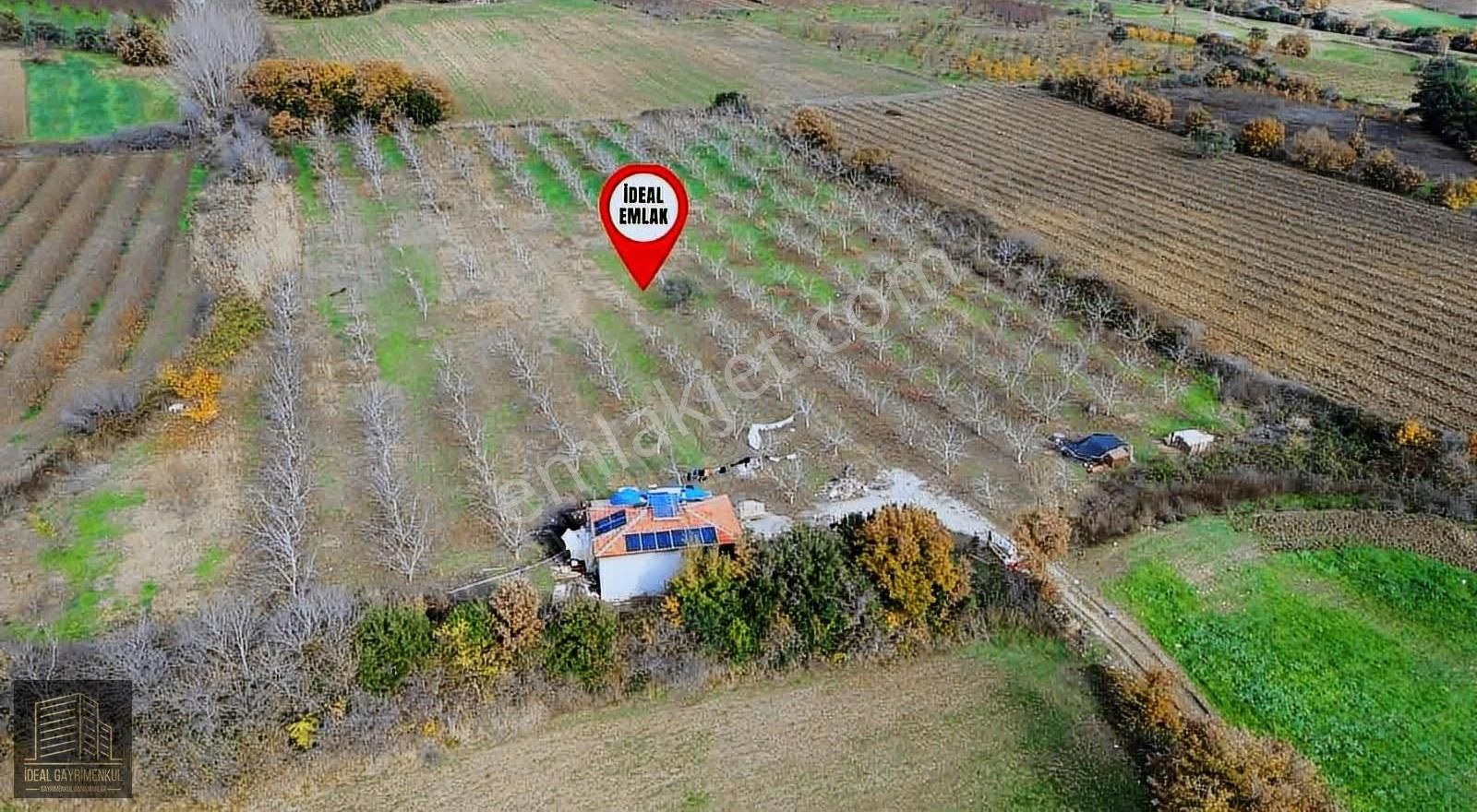 Gökköyde 15 Dönüm Verimli Ceviz Bahçesi 70 M2 Müstakil Ev - Görsel 10