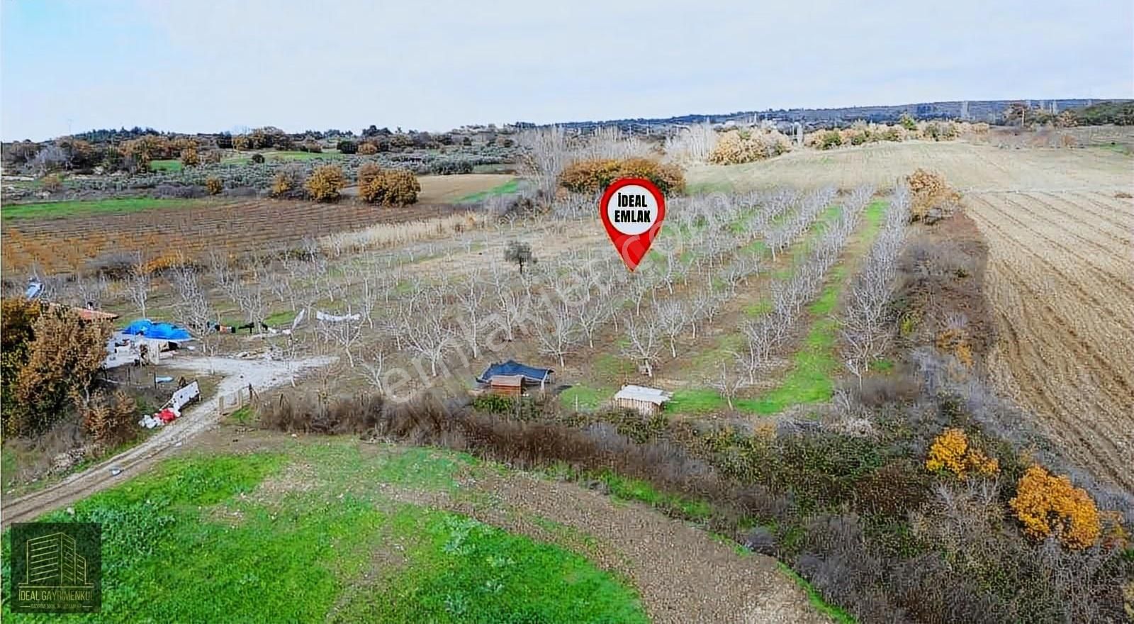 Gökköyde 15 Dönüm Verimli Ceviz Bahçesi 70 M2 Müstakil Ev - Görsel 13