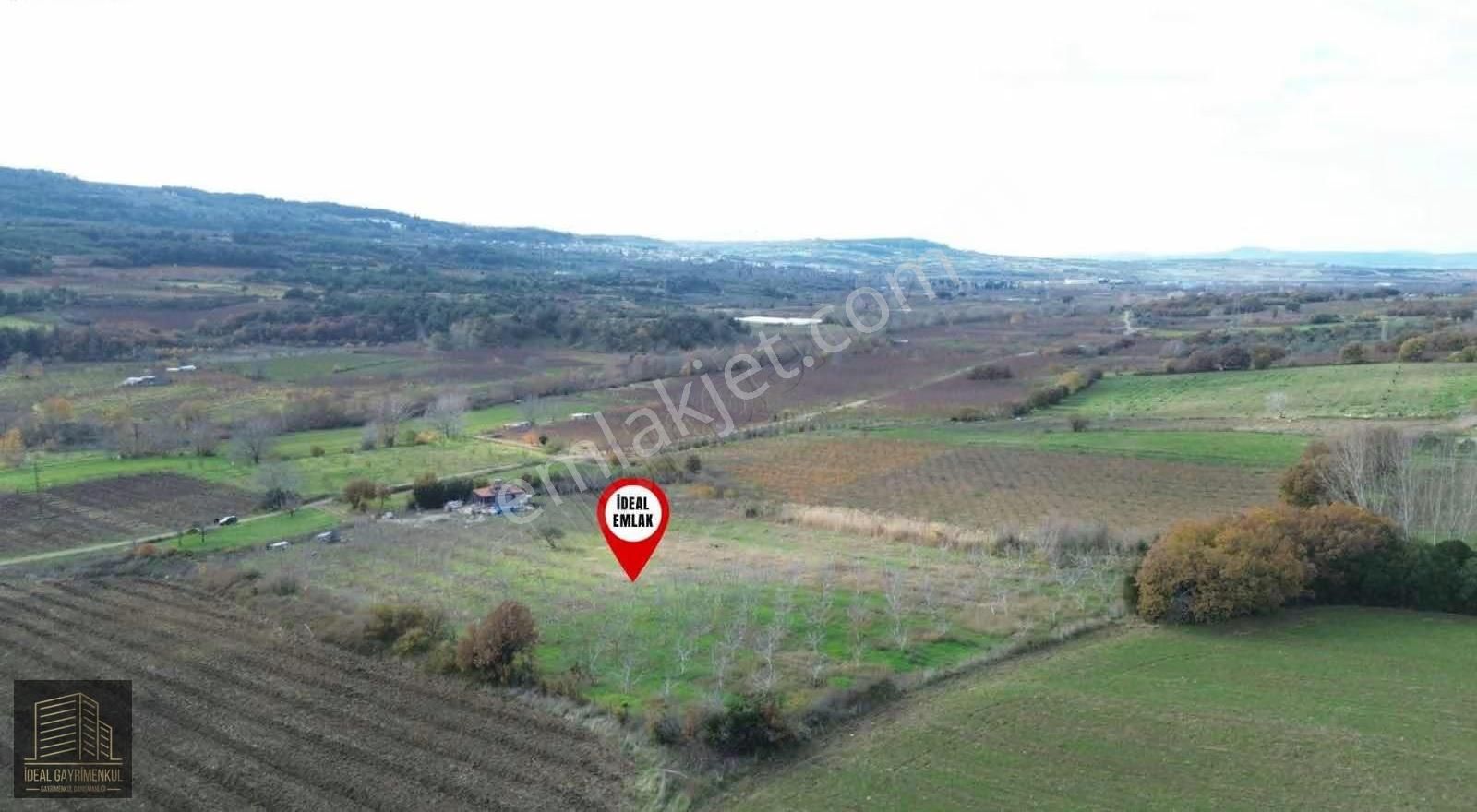 Gökköyde 15 Dönüm Verimli Ceviz Bahçesi 70 M2 Müstakil Ev - Görsel 12