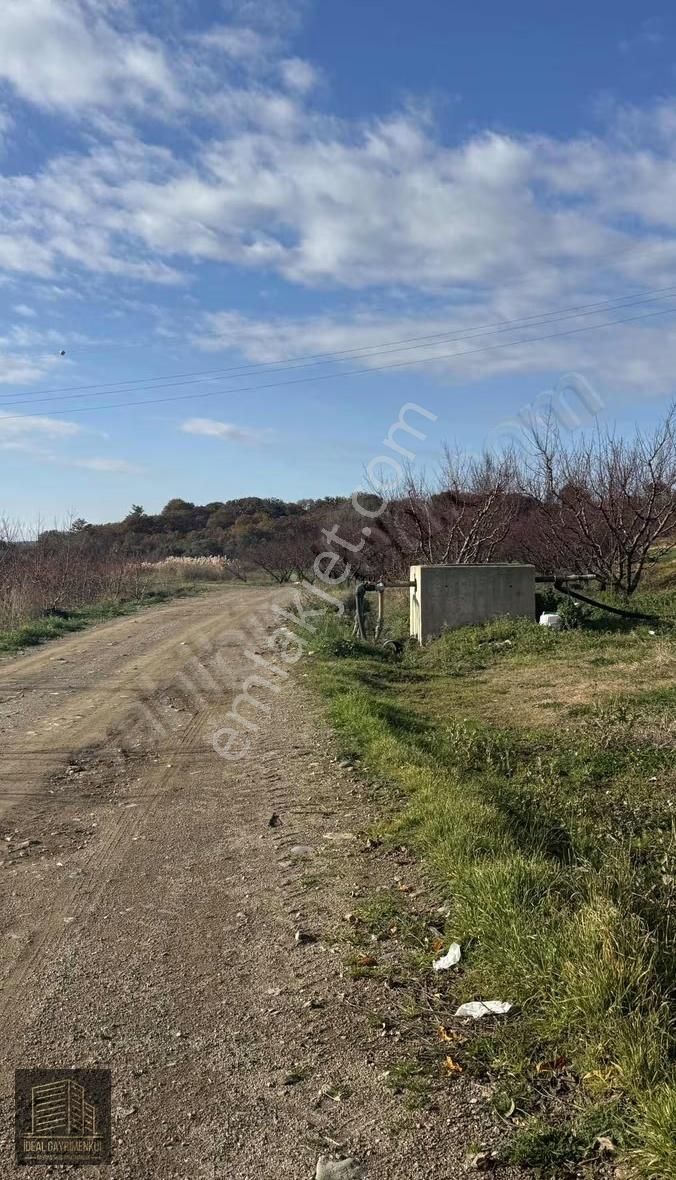 Gökköyde 15 Dönüm Verimli Ceviz Bahçesi 70 M2 Müstakil Ev - Görsel 11