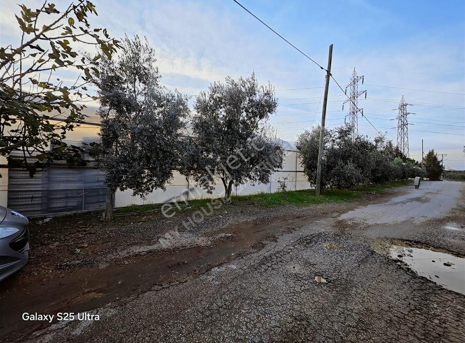 My House'tan Satılık 5800m2 Tek Tapu Kurulu Sera. - Görsel 3