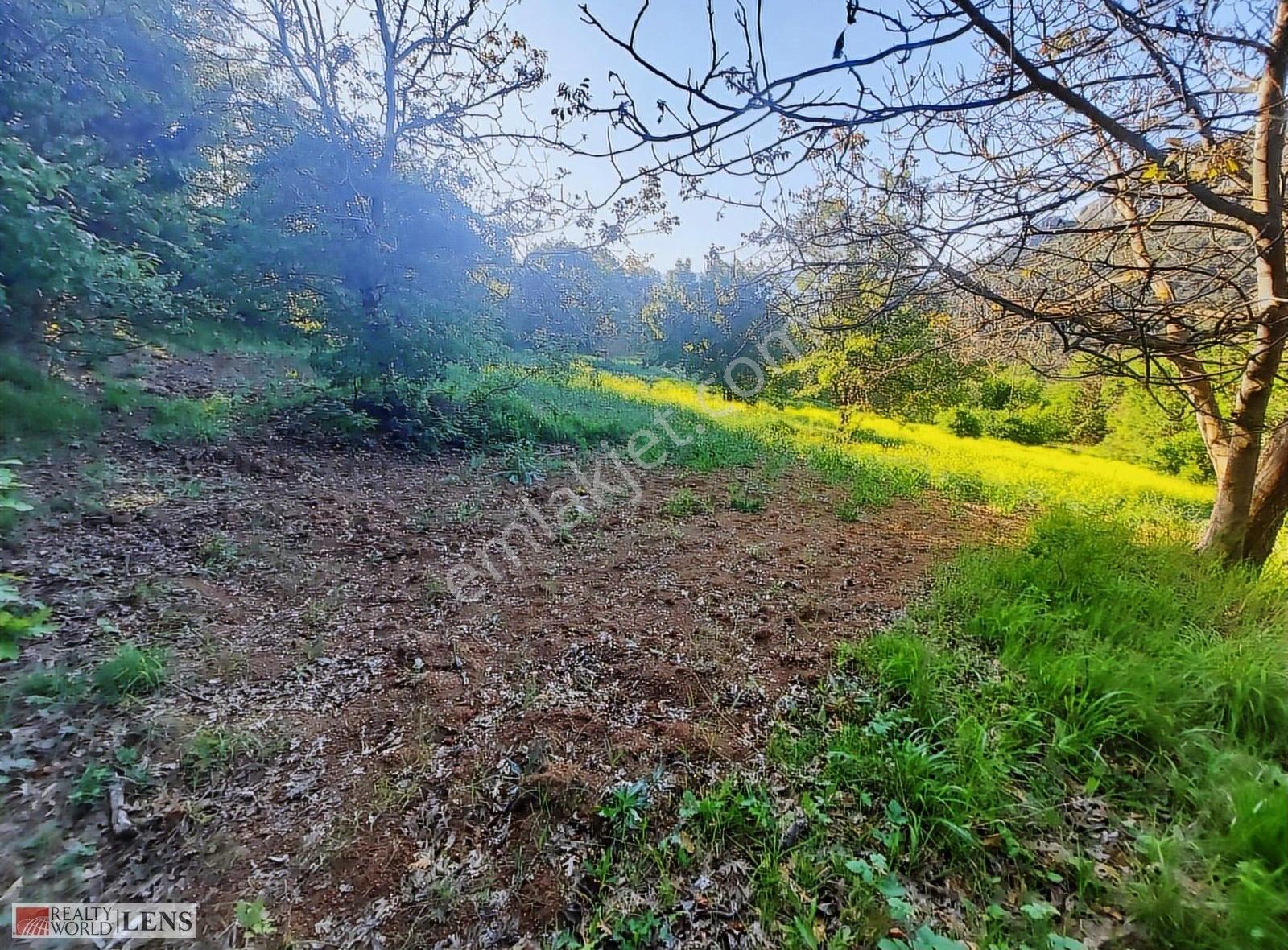 Geyvede Köye Yakın İki Tapu Tek Fiyat 3.238 M2 - Görsel 4