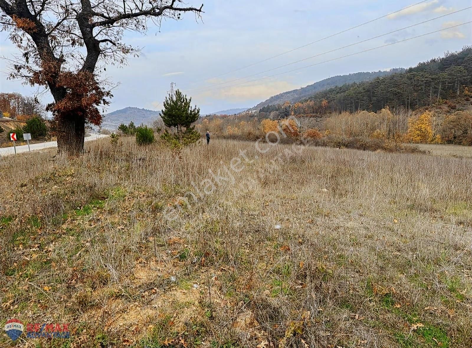 Remax Advantage Den Yatırımcısına Kazındıran Yola Cepheli Tarla - Görsel 2