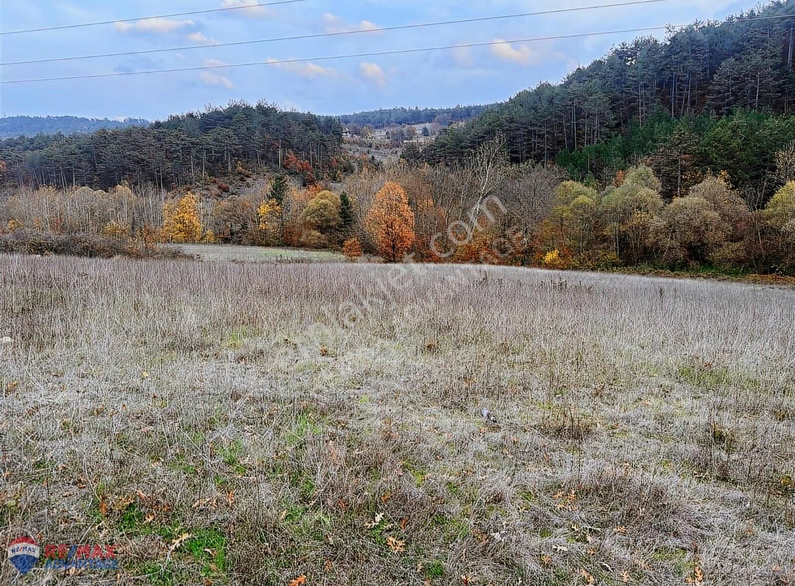 Remax Advantage Den Yatırımcısına Kazındıran Yola Cepheli Tarla - Görsel 7