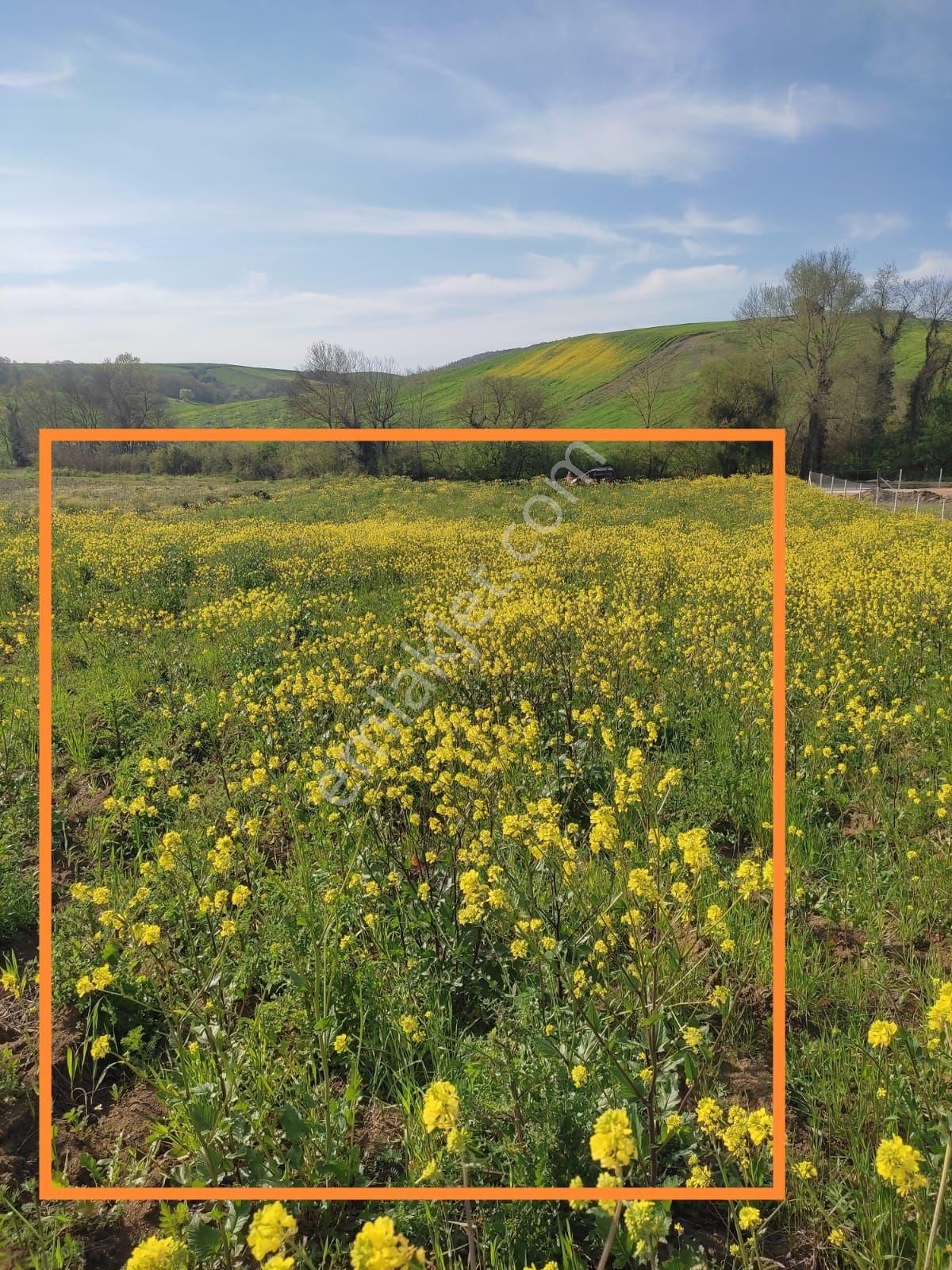 Sahibinden İshakçılara 1 Km Mesafede Müstakil Tapulu Tarla Çayırova Da Daire İle Takas Olur - Görsel 9