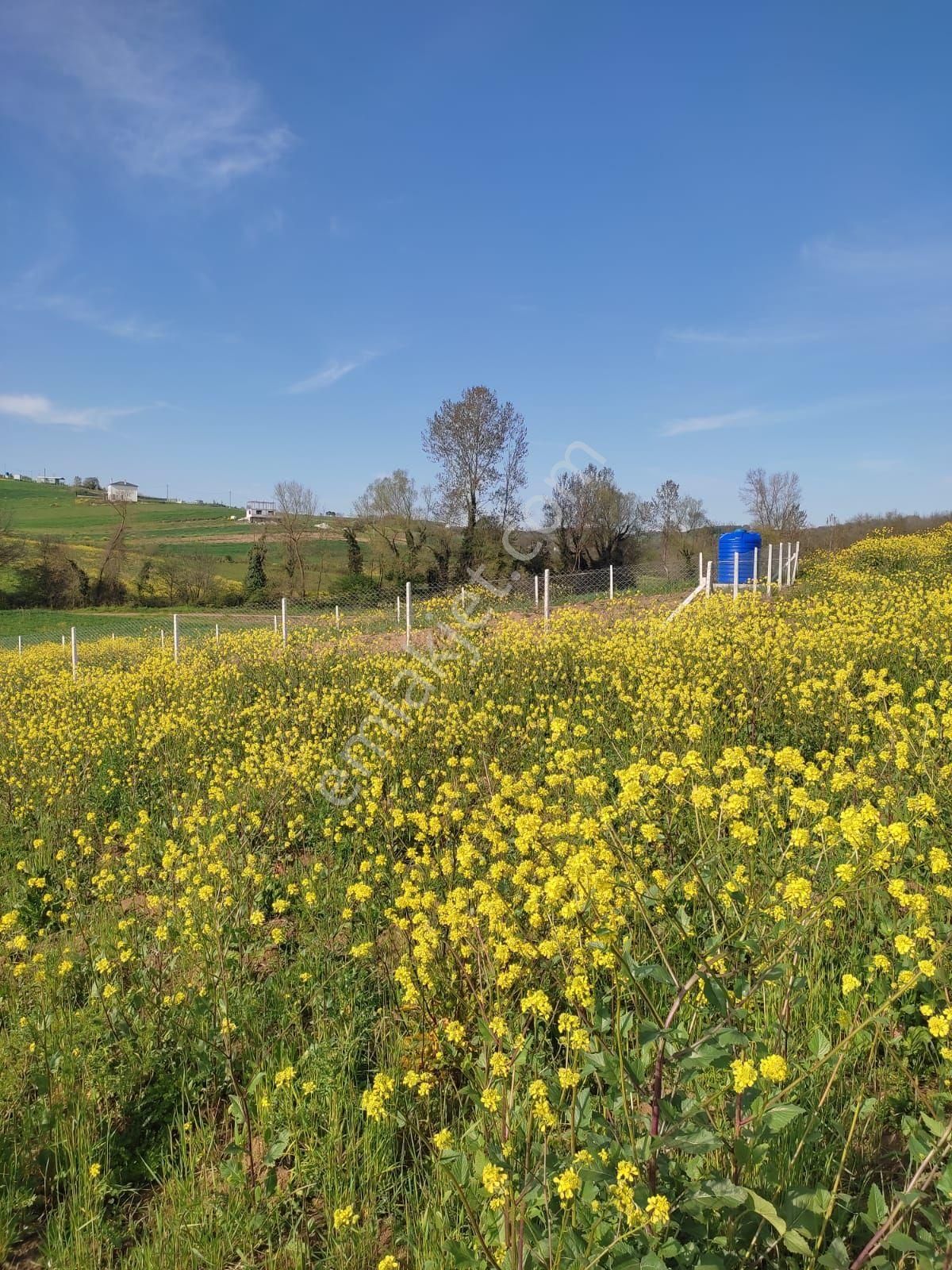 Sahibinden İshakçılara 1 Km Mesafede Müstakil Tapulu Tarla Çayırova Da Daire İle Takas Olur - Görsel 6