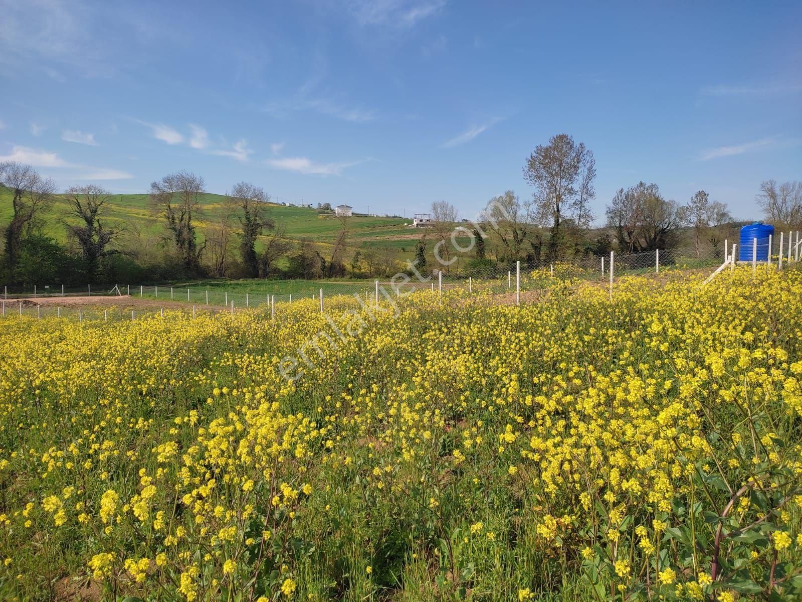 Sahibinden İshakçılara 1 Km Mesafede Müstakil Tapulu Tarla Çayırova Da Daire İle Takas Olur - Görsel 13