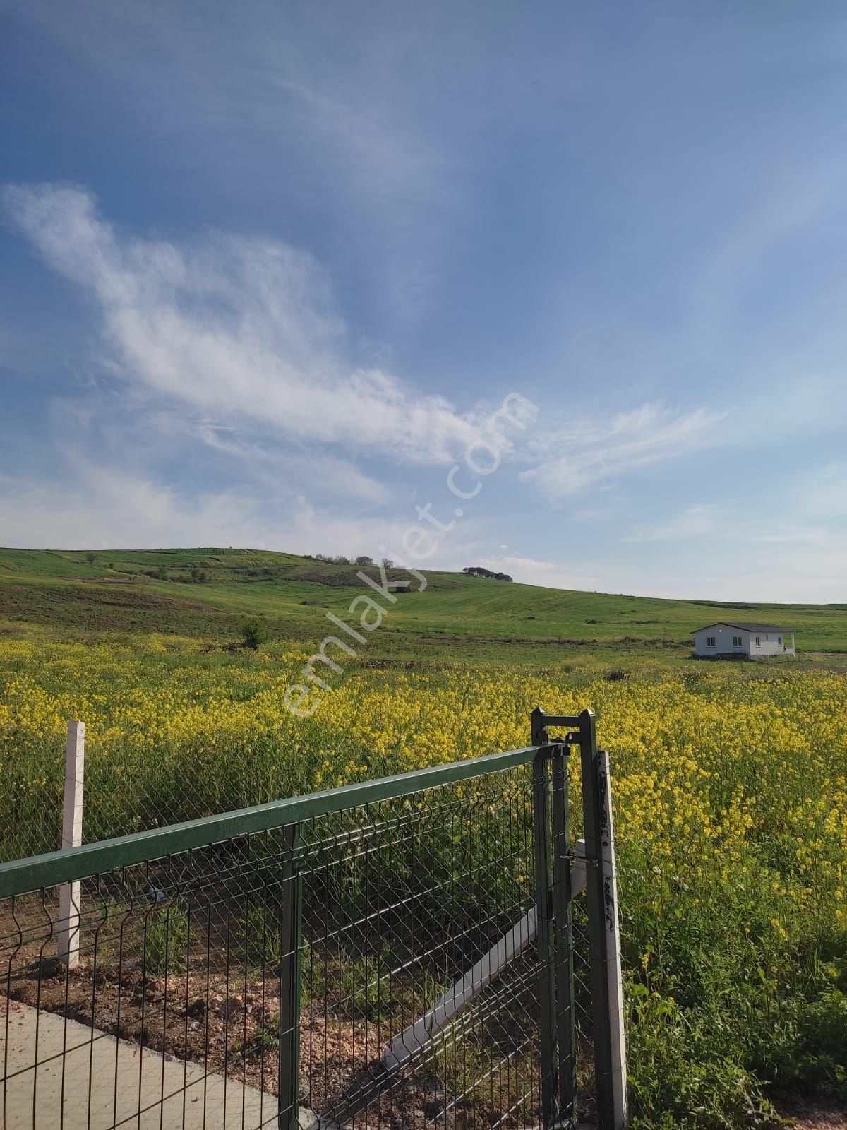 Sahibinden İshakçılara 1 Km Mesafede Müstakil Tapulu Tarla Çayırova Da Daire İle Takas Olur - Görsel 5